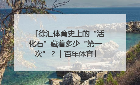 徐汇体育史上的“活化石”藏着多少“第一次”？｜百年体育