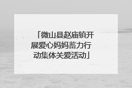 微山县赵庙镇开展爱心妈妈蓄力行动集体关爱活动
