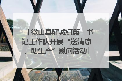微山县驩城镇第一书记工作队开展“送清凉、助生产”慰问活动