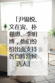 尹锡悦、文在寅、朴槿惠、李明博，他们纷纷出面支持各自阵营候选人