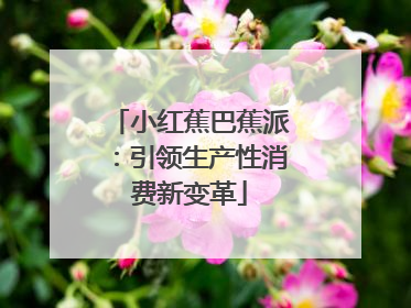 小红蕉巴蕉派：引领生产性消费新变革