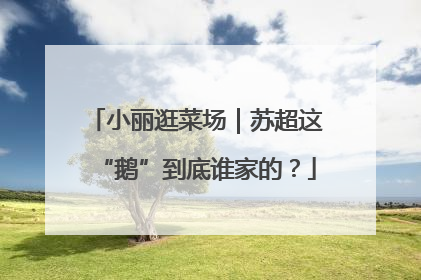小丽逛菜场｜苏超这“鹅”到底谁家的？