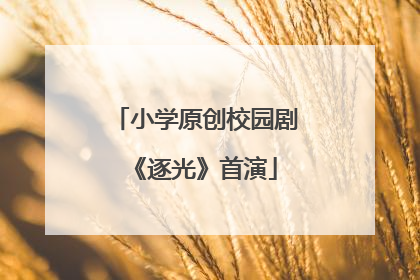 小学原创校园剧《逐光》首演