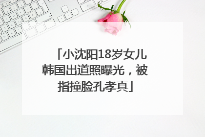 小沈阳18岁女儿韩国出道照曝光，被指撞脸孔孝真