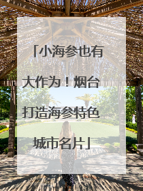 小海参也有大作为！烟台打造海参特色城市名片