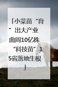 小菜苗“育”出大产业 曲周10亿株“科技苗”15省落地生根