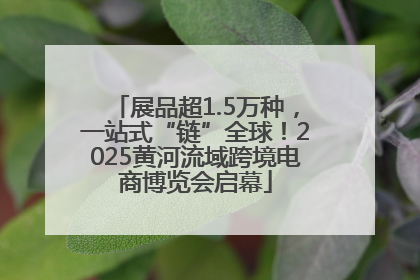 展品超1.5万种，一站式“链”全球！2025黄河流域跨境电商博览会启幕