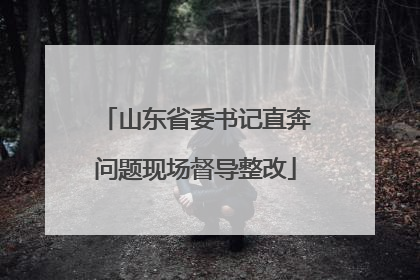 山东省委书记直奔问题现场督导整改