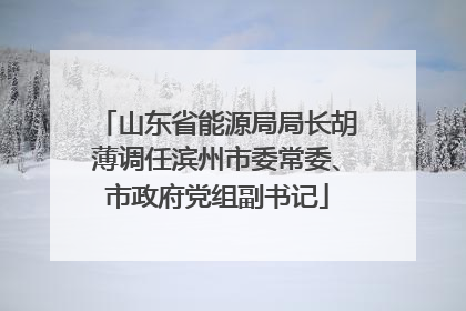 山东省能源局局长胡薄调任滨州市委常委、市政府党组副书记