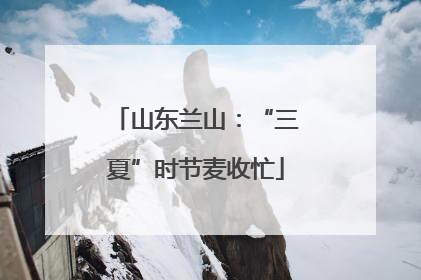 山东兰山：“三夏”时节麦收忙