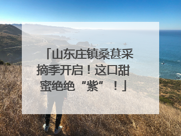 山东庄镇桑葚采摘季开启！这口甜蜜绝绝“紫”！