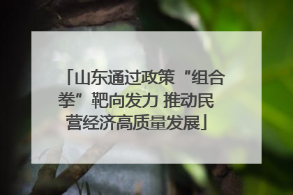 山东通过政策“组合拳”靶向发力 推动民营经济高质量发展