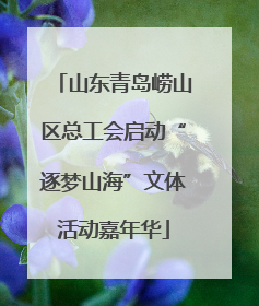 山东青岛崂山区总工会启动“逐梦山海”文体活动嘉年华