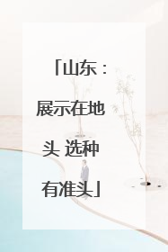 山东：展示在地头 选种有准头