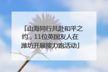 山海同行共赴和平之约，11位英国友人在潍坊开展接力跑活动