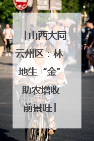 山西大同云州区：林地生“金” 助农增收前景旺