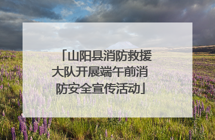山阳县消防救援大队开展端午前消防安全宣传活动
