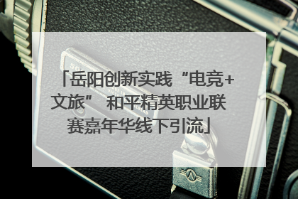 岳阳创新实践“电竞+文旅” 和平精英职业联赛嘉年华线下引流