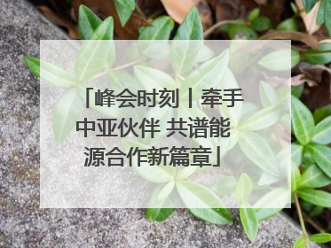 峰会时刻丨牵手中亚伙伴 共谱能源合作新篇章