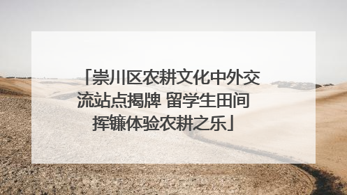 崇川区农耕文化中外交流站点揭牌 留学生田间挥镰体验农耕之乐