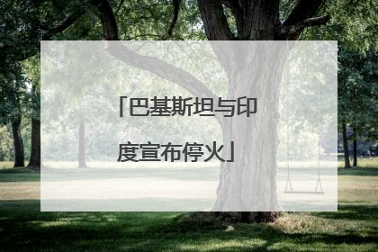 巴基斯坦与印度宣布停火
