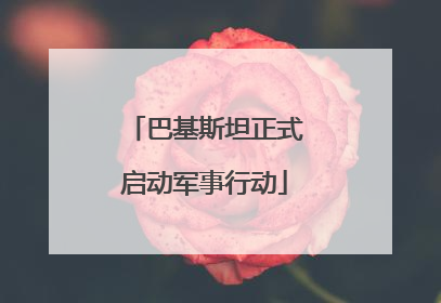 巴基斯坦正式启动军事行动