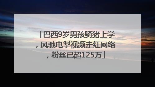 巴西9岁男孩骑猪上学，风驰电掣视频走红网络，粉丝已超125万