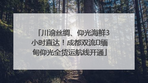 川渝丝绸、仰光海鲜3小时直达！成都双流⇌缅甸仰光全货运航线开通