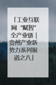 工业互联网“赋智”全产业链｜贵州产业新势力系列报道之八
