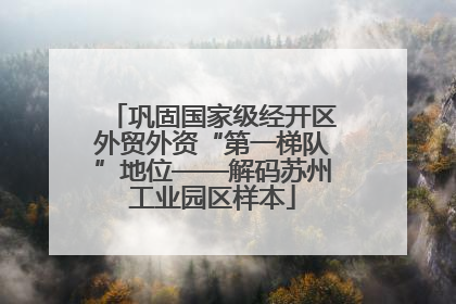 巩固国家级经开区外贸外资“第一梯队”地位——解码苏州工业园区样本