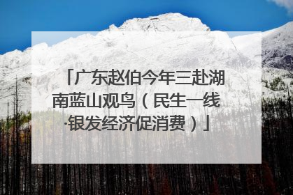 广东赵伯今年三赴湖南蓝山观鸟（民生一线·银发经济促消费）