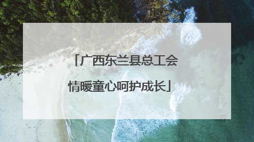 广西东兰县总工会情暖童心呵护成长