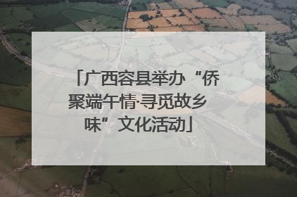 广西容县举办“侨聚端午情·寻觅故乡味”文化活动
