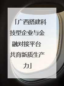 广西搭建科技型企业与金融对接平台 共育新质生产力