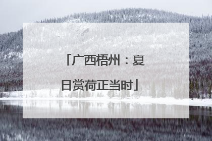 广西梧州：夏日赏荷正当时