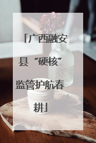 广西融安县“硬核”监管护航春耕