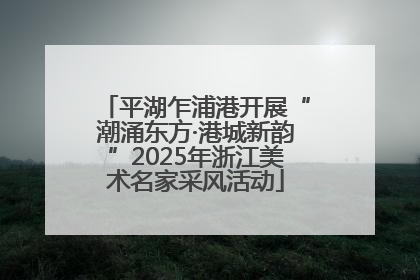 平湖乍浦港开展“潮涌东方·港城新韵”2025年浙江美术名家采风活动