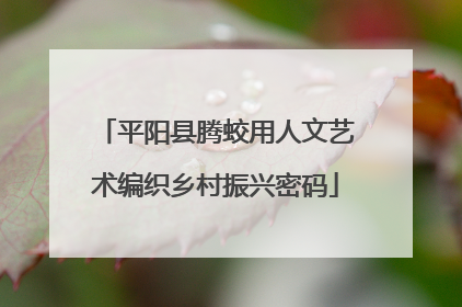平阳县腾蛟用人文艺术编织乡村振兴密码