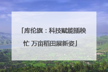 库伦旗：科技赋能插秧忙 万亩稻田展新姿