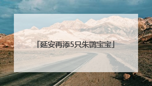延安再添5只朱鹮宝宝