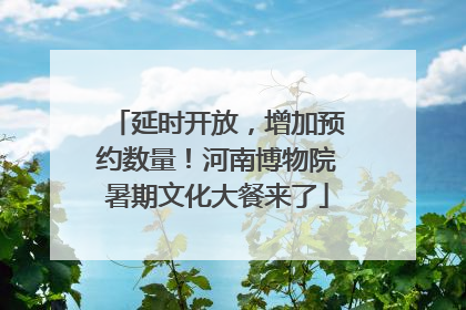 延时开放，增加预约数量！河南博物院暑期文化大餐来了