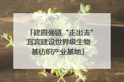 建圈强链“走出去” 宜宾建设世界级生物基纺织产业基地
