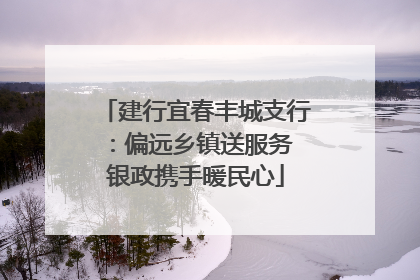 建行宜春丰城支行：偏远乡镇送服务 银政携手暖民心