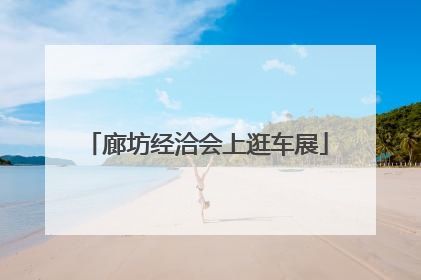 廊坊经洽会上逛车展