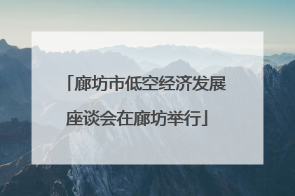 廊坊市低空经济发展座谈会在廊坊举行