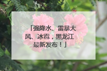 强降水、雷暴大风、冰雹，黑龙江最新发布！