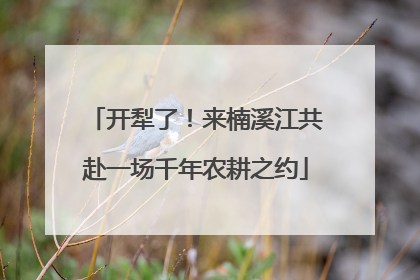 开犁了！来楠溪江共赴一场千年农耕之约