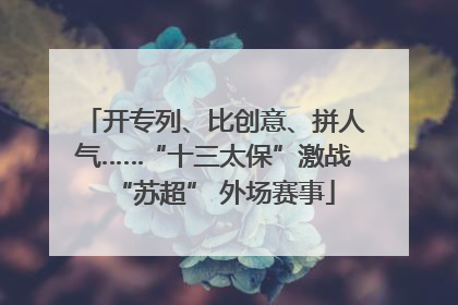 开专列、比创意、拼人气……“十三太保”激战“苏超” 外场赛事