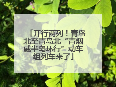 开行两列！青岛北至青岛北“青烟威半岛环行”动车组列车来了