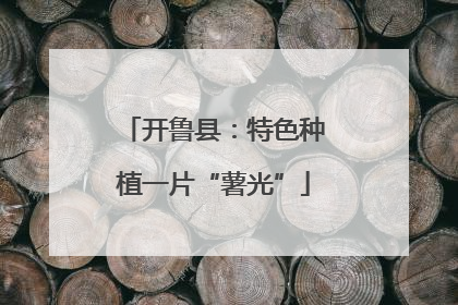 开鲁县：特色种植一片“薯光”